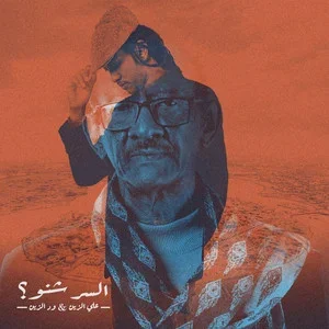 WD Alzain ft Ali Elzain dp picture